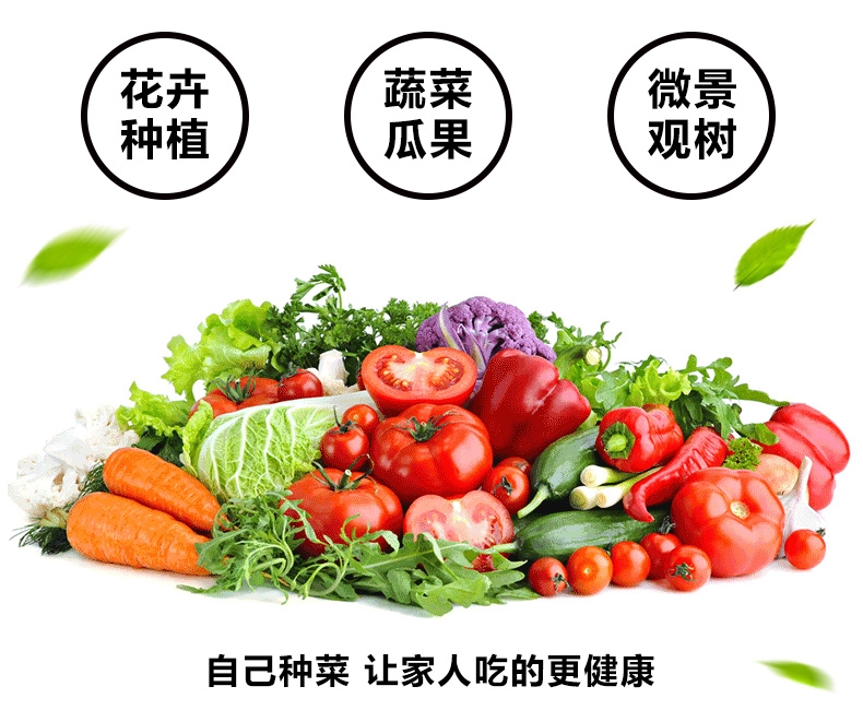 蔬菜种植箱