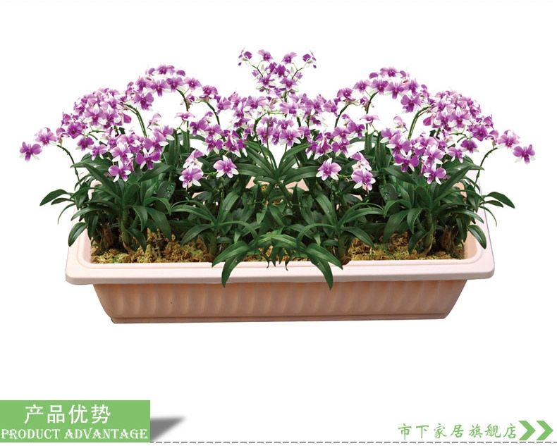 种花蔬菜种植箱